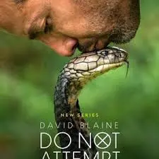 大卫·布雷恩：请勿尝试 海报