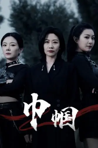 《巾帼》：战火硝烟中的女性史诗，谱写时代赞歌